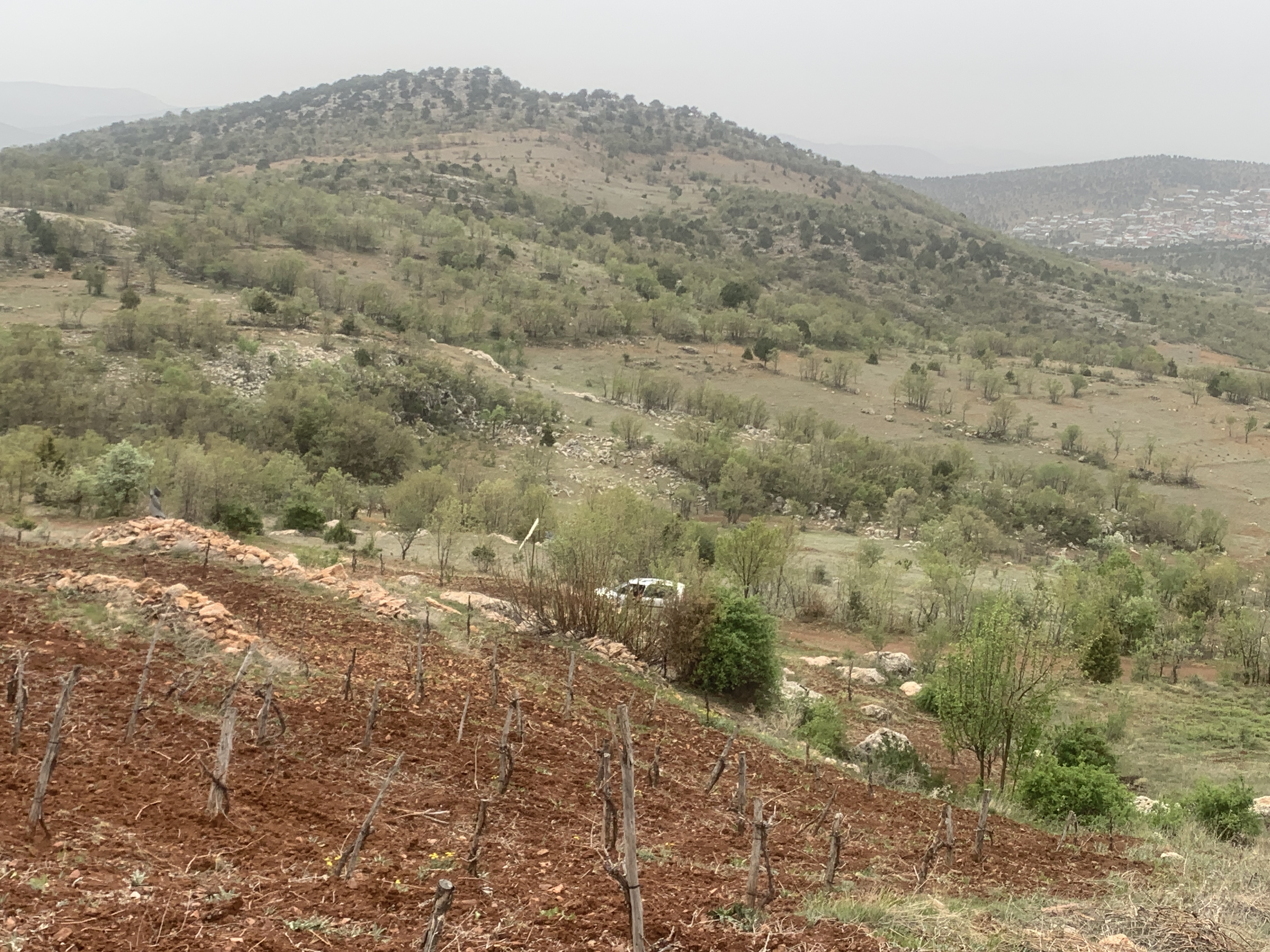 İlan Fotoğrafı
